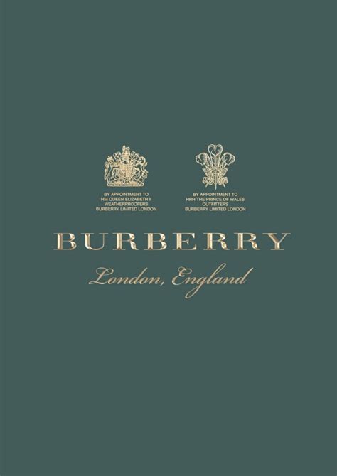 burberry brand guidelines.